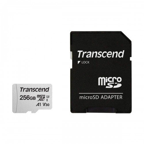 256gb micro sd uhs i u3 1 500x500 1.jpg 256gb micro sd uhs i u3 1 500x500 1.jpg