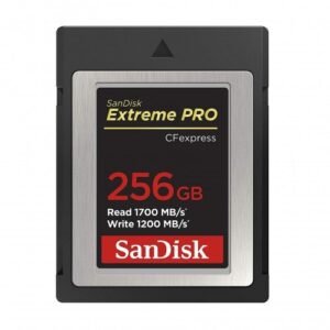 extreme pro cfexpress 03 500x500 1.jpg