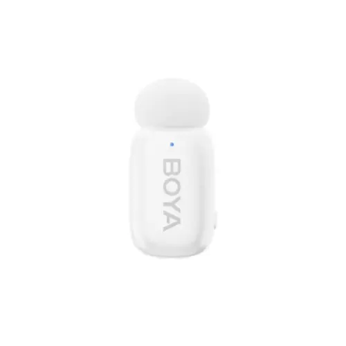 mini 13 03 500x500 1.webp mini 13 03 500x500 1.webp