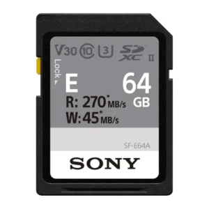 sf e series 64gb 002 500x500 1.webp