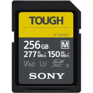 sf e series uhs ii sdxc 256gb 01 500x500 1.webp